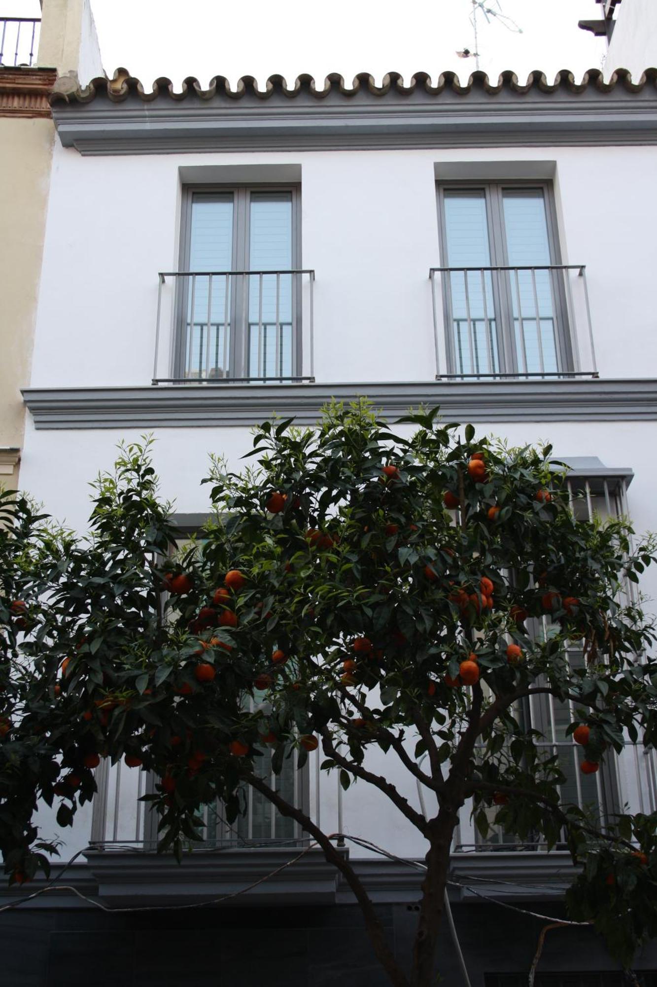 Ritual Sevilla Suites - Malaver 23 (Adults Only), Seville